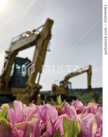 鏟車和花 50449461