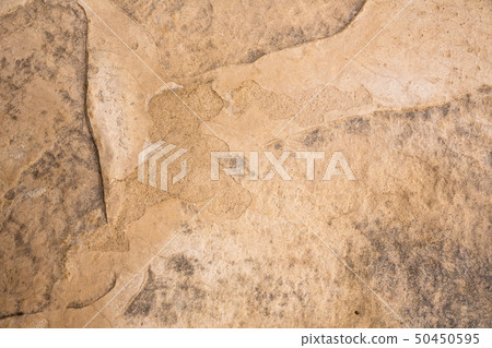 Concrete floor background Concrete floor background 50450595