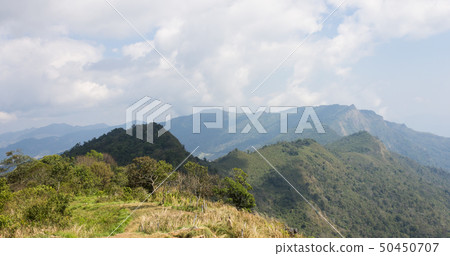 Landscape Mountain with Meadow Tree Sky Cloud 50450707