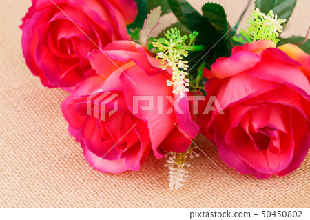Roses 50450802