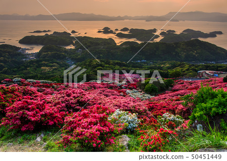 Nagasuyama杜鵑花節和Kujukushima日落(長崎縣佐世保市Sakabo鎮) Nagasuyama杜鵑花節和Kujukushima日落(長崎縣佐世保市Sakabo鎮) 50451449
