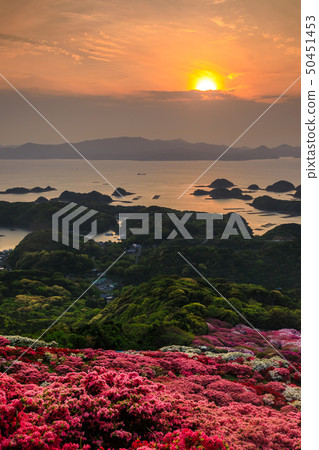 Nagasuyama Azalea Festival and Kujukushima Sunset (Sakabo Town, Sasebo City, Nagasaki Prefecture) 50451453