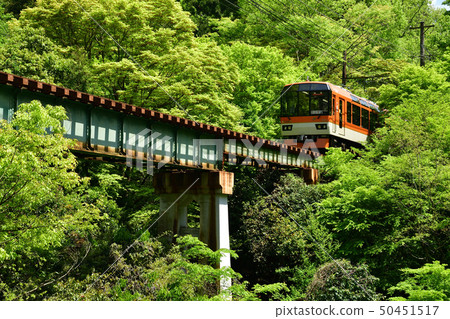 Run in the fresh green "Kirara" 50451517