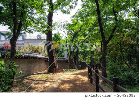 deoksugung doldam road deoksugung doldam road 50452092