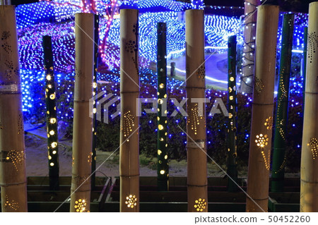 Mizugo Sakura Illumination (Ibaraki Prefecture Kasumigaura Park) Mizugo Sakura Illumination (Ibaraki Prefecture Kasumigaura Park) 50452260