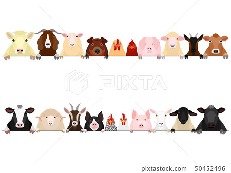 Livestock upper body 50452496