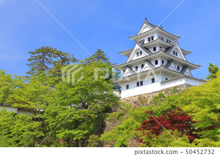 [Gifu Prefecture] Gujo Hachiman Castle with fresh greenery 50452732