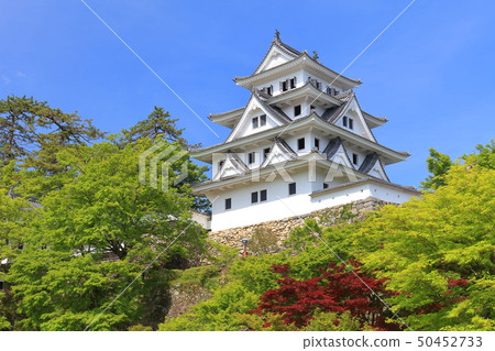 [岐阜縣]郡上八man城，綠意盎然 50452733