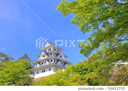 [Gifu Prefecture] Gujo Hachiman Castle with fresh greenery 50452735