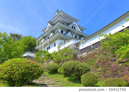 [Gifu Prefecture] Gujo Hachiman Castle with fresh greenery 50452740