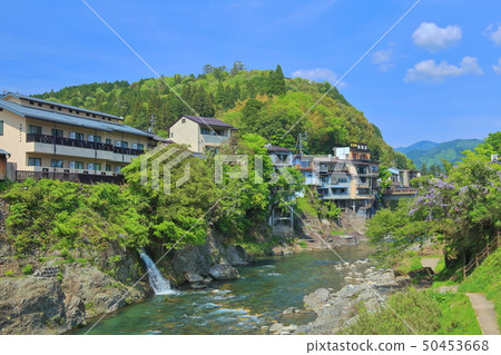 [Gifu Prefecture] Yoshida River and fresh green Gujo Hachiman Castle 50453668