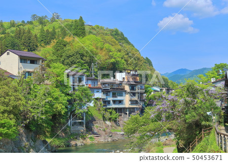 [岐阜縣]吉田川和鮮綠色的郡上八man城 50453671