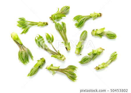 Kosi bra Kosi bra 50453802