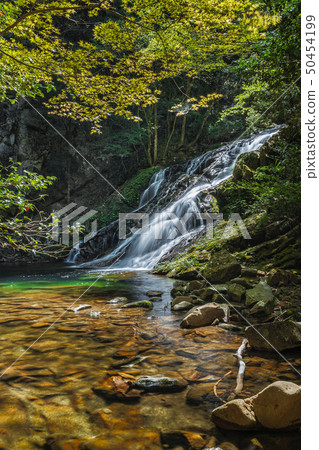 奈良縣Seijobo no Taki夏季新鮮綠色 50454199