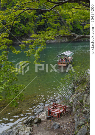 京都嵐山新鮮的綠色夏天 50454200