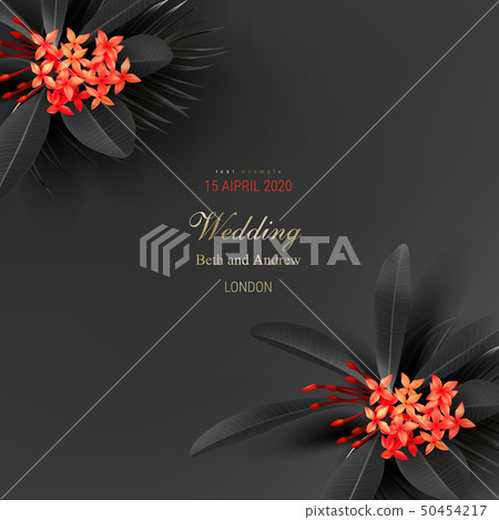 Tropical black leaves and exotic red flower Tropical black leaves and exotic red flower 50454217