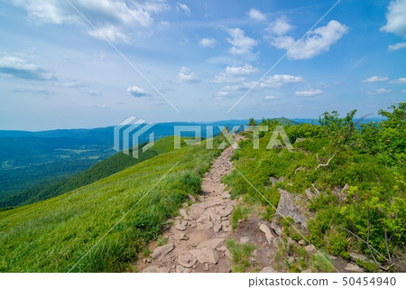 Polonina Wetlina mountain trail in Polish Polonina Wetlina mountain trail in Polish 50454940