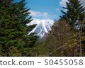 樹木之間的富士山 50455058