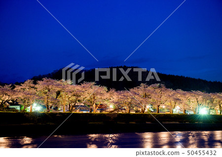 秋田縣的Kadodate Yaki櫻花 50455432