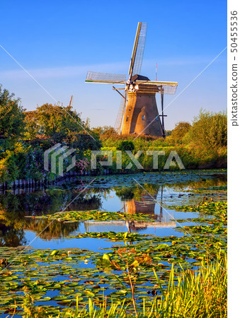 Windmill in Holland, Kinderdijk, Netherlands Windmill in Holland, Kinderdijk, Netherlands 50455536