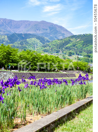 Takizawa River Park Takizawa River River Park Ayame Festival Southern Alps City 50455678
