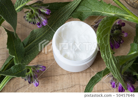 A jar of comfrey cream with fresh symphytum plant A jar of comfrey cream with fresh symphytum plant 50457646