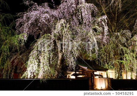 Kadokan Yozakura秋田 Kadokan Yozakura秋田 50458291