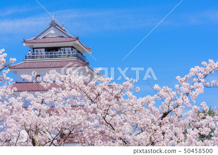  會津若松城堡敦賀城堡 50458500