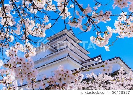  Aizu Wakamatsu Castle Tsuruga Castle 50458537