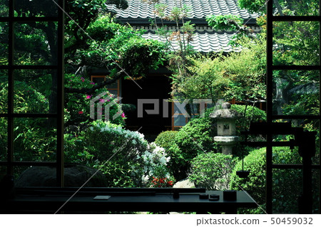 前山本府大阪 前山本府大阪 50459032