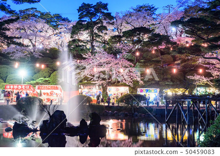 千秋公園的夜櫻花 50459083