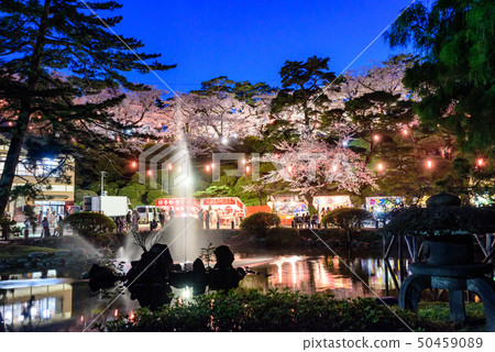 Night cherry blossoms in Chiaki Park 50459089