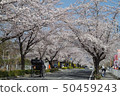 Sakura of Nagatoro 50459243
