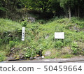 Takase's Kongomizu 50459664