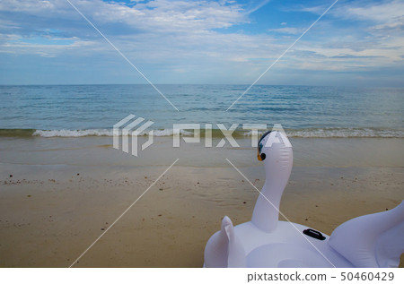 swan life ring on beach and sea 50460429