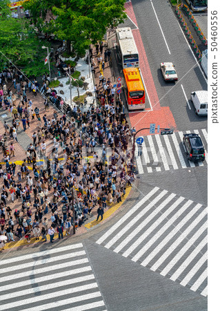 [Tokyo] scramble intersection 50460556