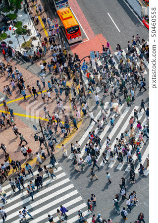 [Tokyo] scramble intersection 50460558