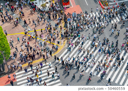 [Tokyo] scramble intersection 50460559
