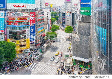 [Tokyo] scramble intersection 50460564