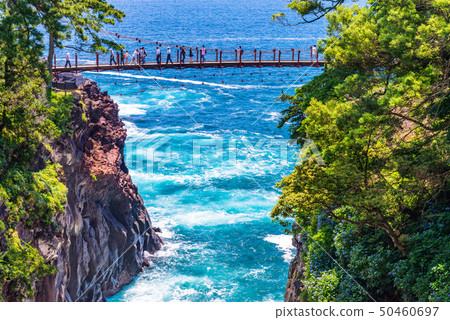 [靜岡縣]繡球花盛開在城門懸索橋和伊豆長崎的懸崖上 50460697