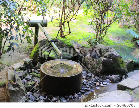 Wash-basin of stone Tsukubai in Ryoanji Temple, 50460705