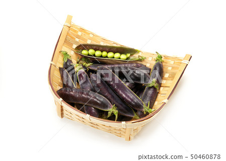 Cleopatra beans 50460878