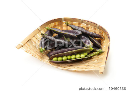Cleopatra beans 50460888