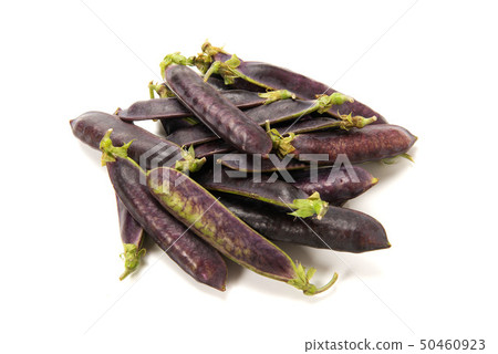 Cleopatra beans 50460923
