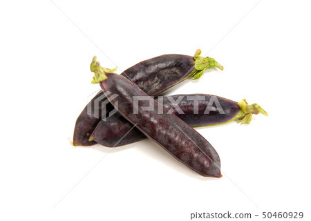 Cleopatra beans 50460929