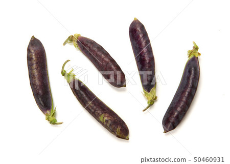 克婁巴特拉豆 50460931