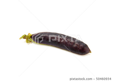Cleopatra beans 50460934