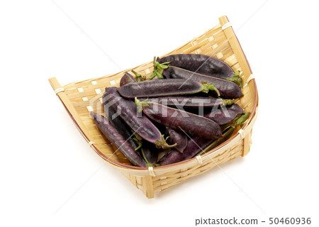 Cleopatra beans 50460936
