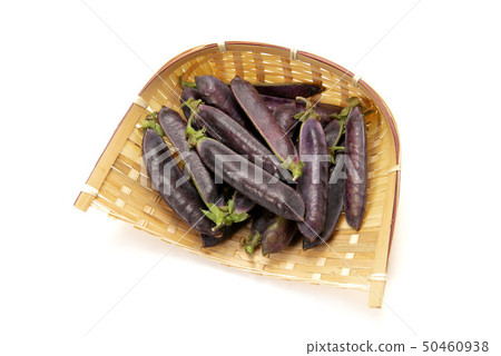Cleopatra beans 50460938