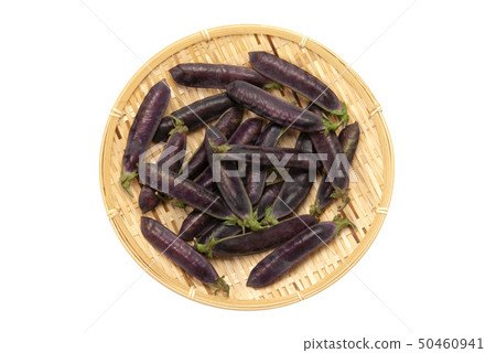 克婁巴特拉豆 50460941